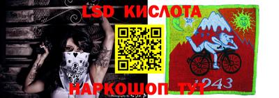 спиды Гай