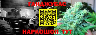 спиды Гай