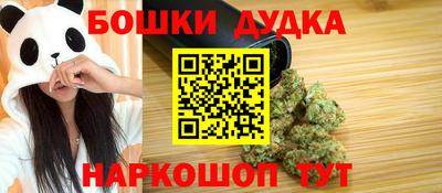 спиды Гай