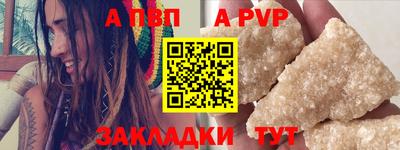 спиды Гай