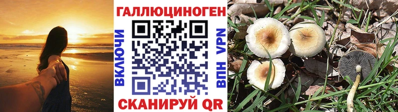 Галлюциногенные грибы мицелий  Екатеринбург 