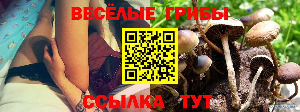 Псилоцибиновые грибы Psilocybine cubensis  Вход с VPN  Екатеринбург 