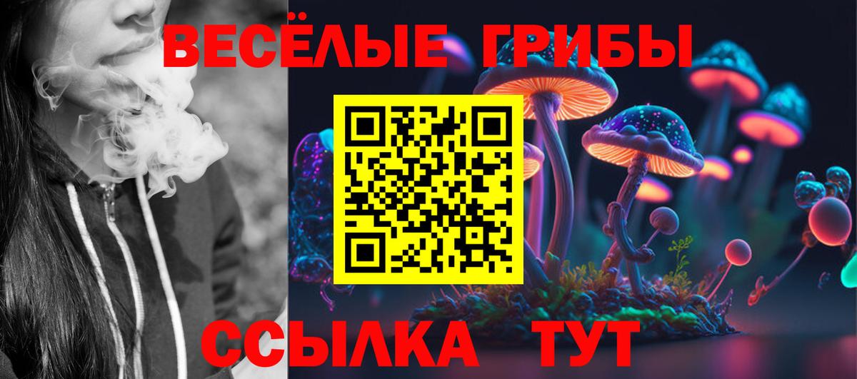 Галлюциногенные грибы Psilocybe  Екатеринбург  где найти наркотики  Галлюциногенные грибы Magic Shrooms 